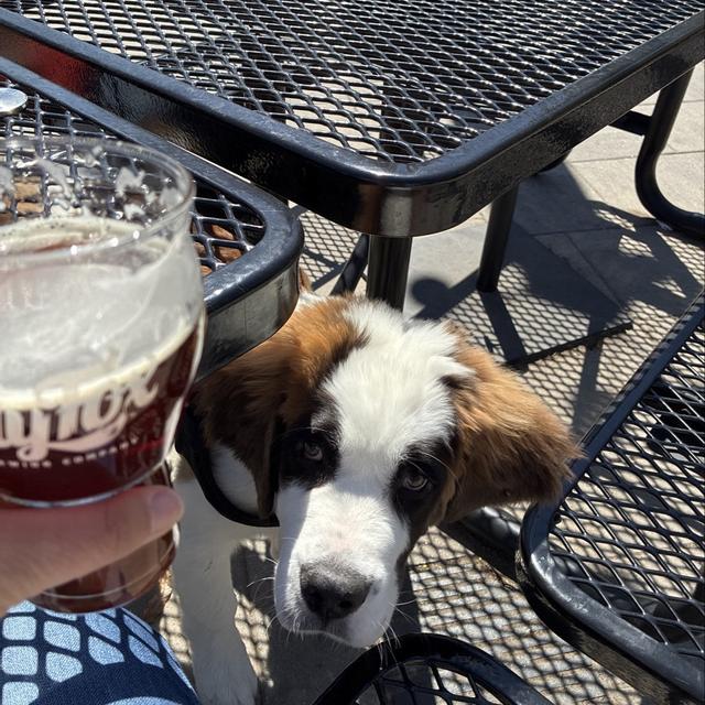 Recent check-in photo 3