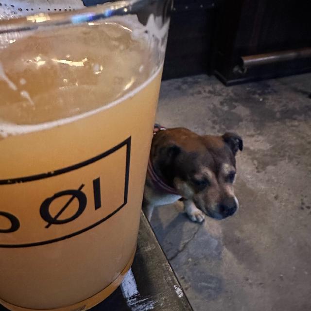 Recent check-in photo 5