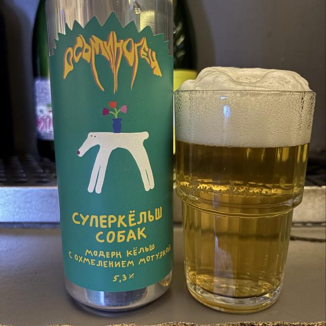 Recent check-in photo 6