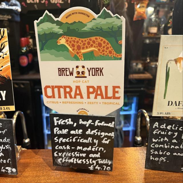 Recent check-in photo 5