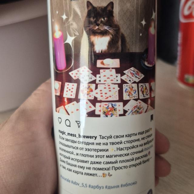 Recent check-in photo 3