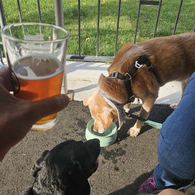 Recent check-in photo 3