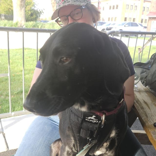 Recent check-in photo 1