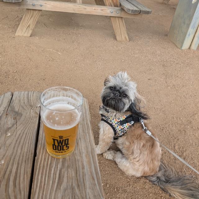 Recent check-in photo 2