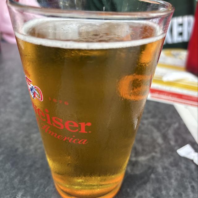 Recent check-in photo 6