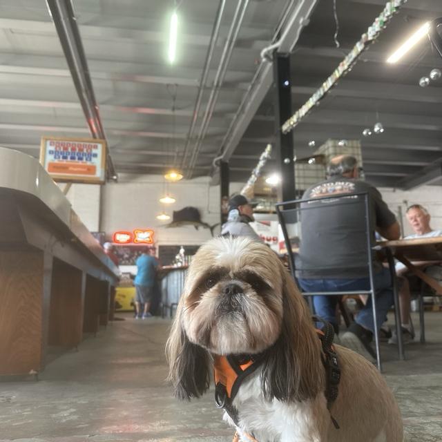Recent check-in photo 4