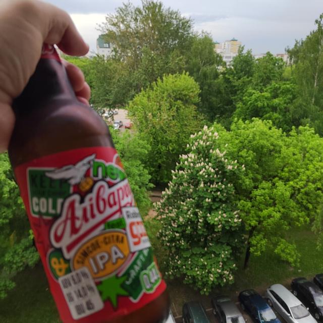 Recent check-in photo 1