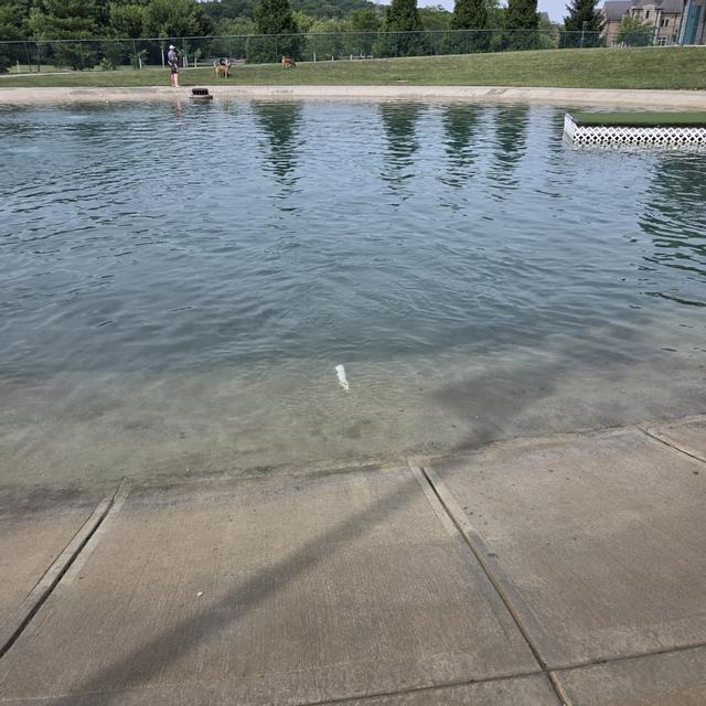 Recent check-in photo 2
