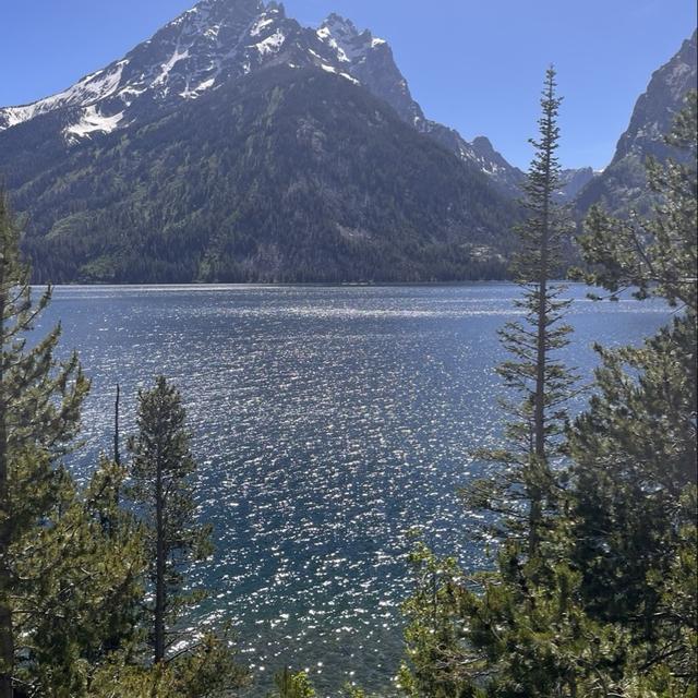 Recent check-in photo 4