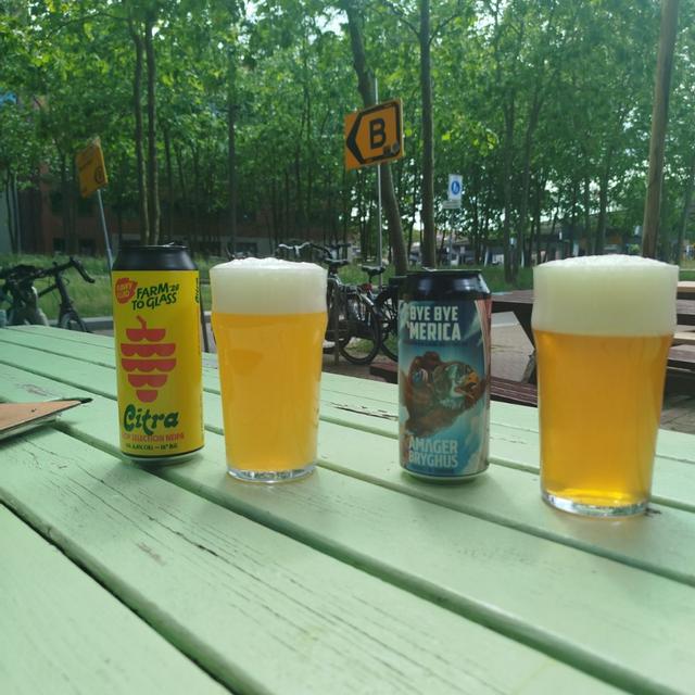 Recent check-in photo 1