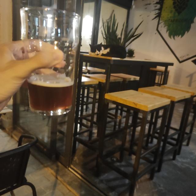 Recent check-in photo 4