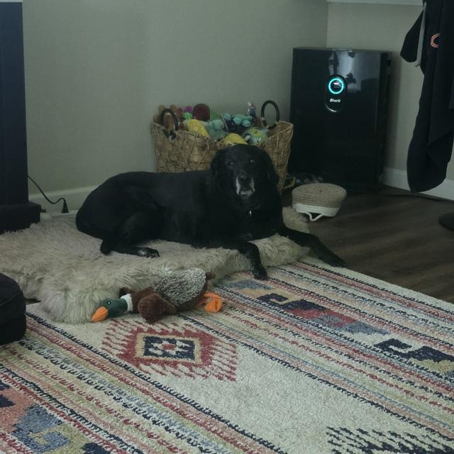 Recent check-in photo 1