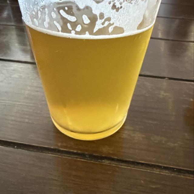 Recent check-in photo 6