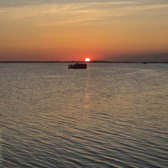 See all photos
