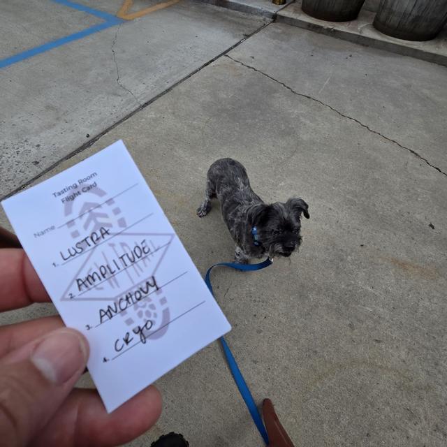 Recent check-in photo 1