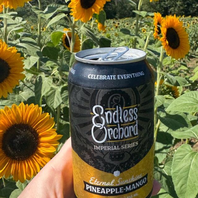 Recent check-in photo 3