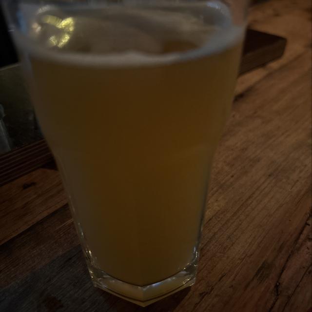 NEBULA / DDH DIPA, gefotografeerd door Endre