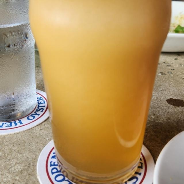 Recent check-in photo 5