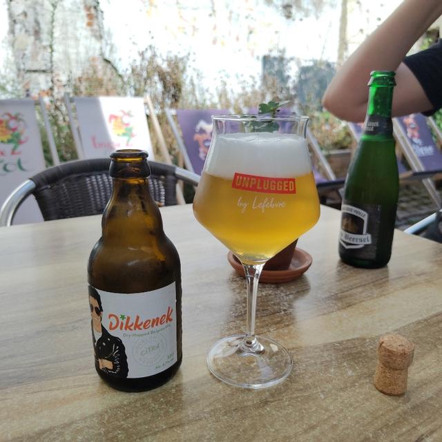 Recent check-in photo 6