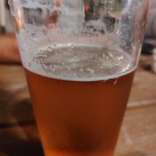 Recent check-in photo 6