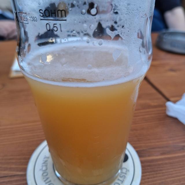 Recent check-in photo 6