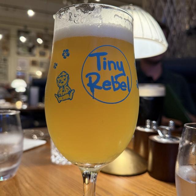 Clwb Tropica Non Alc., gefotografeerd door Ahron
