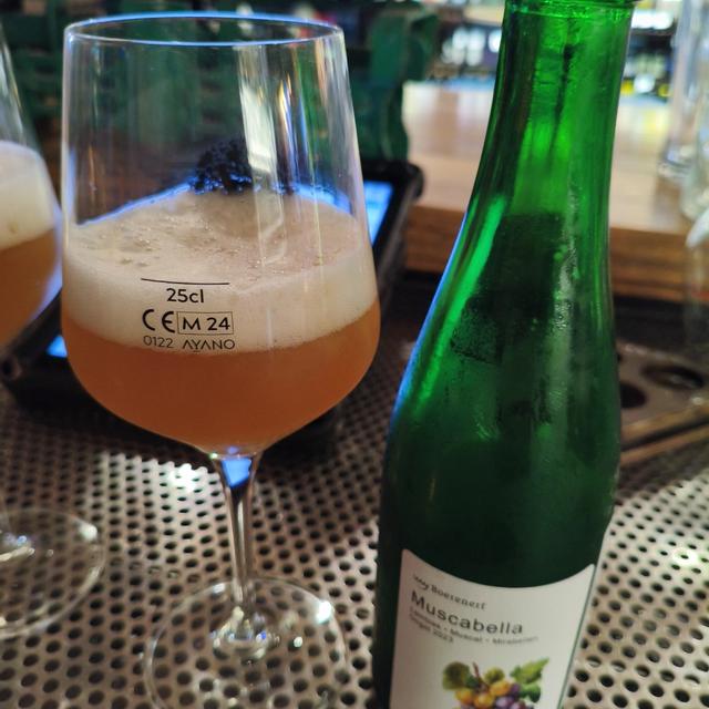 Photo (c) Idomeir48