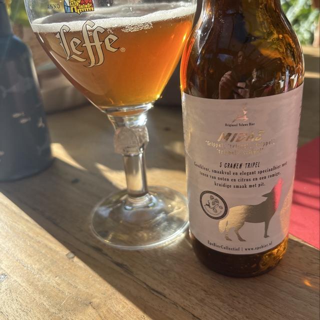Midas, gefotografeerd door Jeroen
