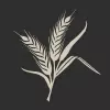 curated logo