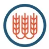 curated logo