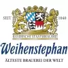 curated logo