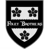curated logo