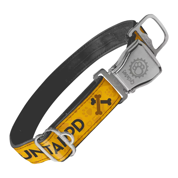Untappd Dog Collar