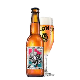 Brouwerij de Molen. Back & Future 