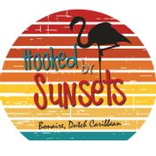 Hooked by Sunsets logo