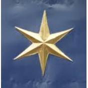 The Lidgate Star logo