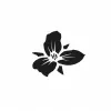 curated logo